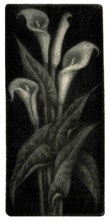 Original Realism Nature Printmaking by Erika Elkenrola