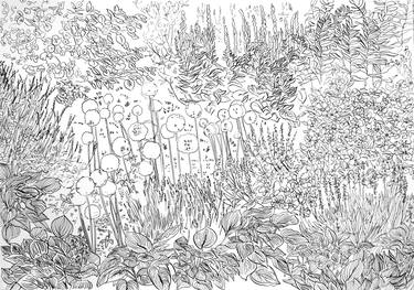 Print of Realism Botanic Drawings by Olga Brereton