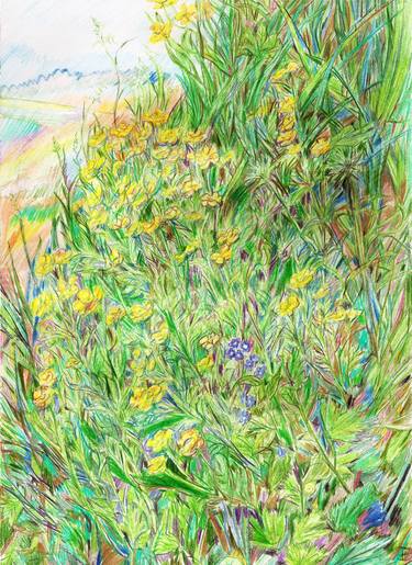 Original Impressionism Garden Drawings by Olga Brereton