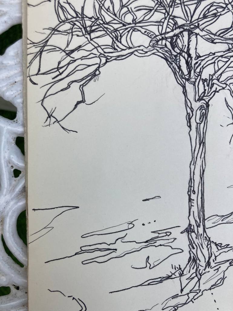 Original Illustration Nature Drawing by Olga Brereton