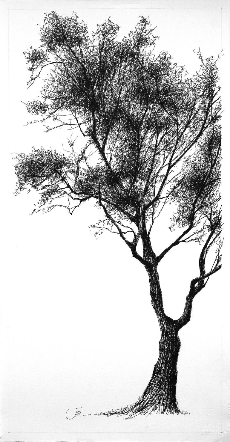 Original Fine Art Tree Drawing by Sedigheh Zoghi