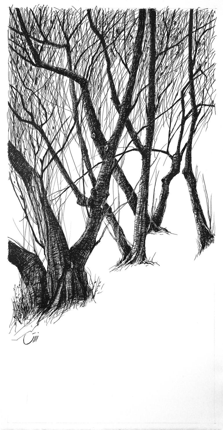 Original Minimalism Tree Drawing by Sedigheh Zoghi