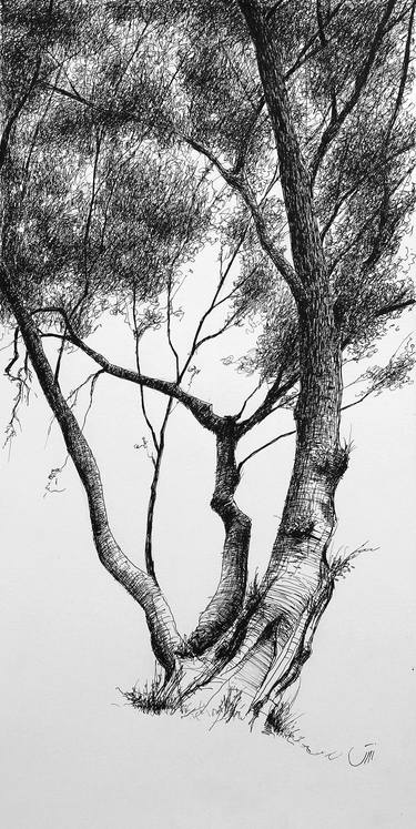 Print of Tree Drawings by Sedigheh Zoghi