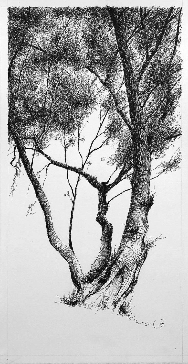 Original Fine Art Tree Drawing by Sedigheh Zoghi