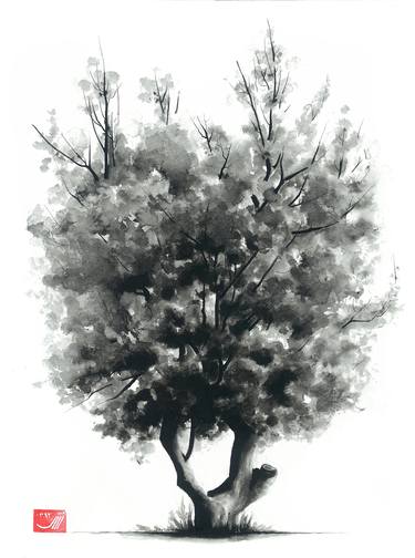 Print of Fine Art Tree Drawings by Sedigheh Zoghi