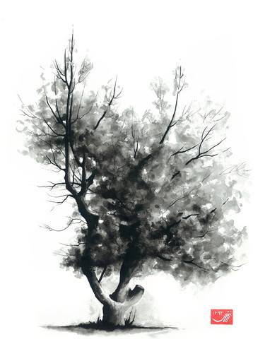 Print of Fine Art Tree Drawings by Sedigheh Zoghi
