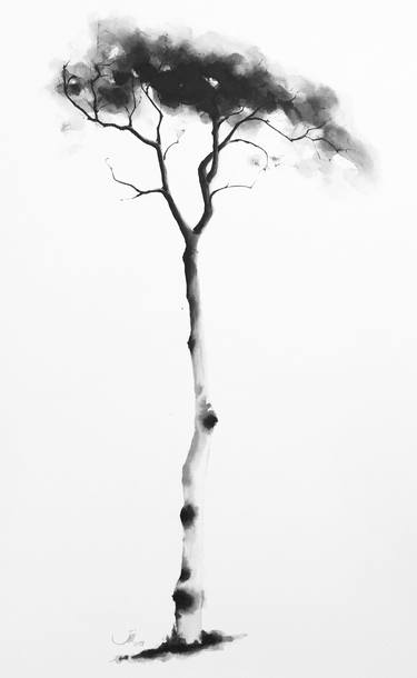 Print of Fine Art Tree Drawings by Sedigheh Zoghi