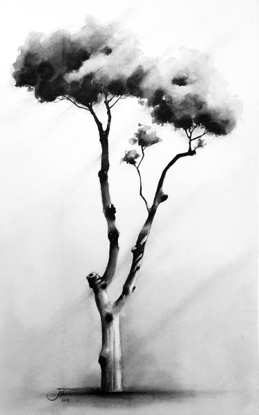 Print of Tree Drawings by Sedigheh Zoghi