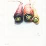 finding and appreciating beauty in my daily life.
Medium: Colored Pencil on Canson XL Sketchbook.
Coating: Fixative spray