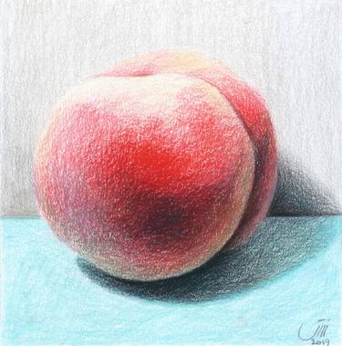 Print of Fine Art Still Life Drawings by Sedigheh Zoghi