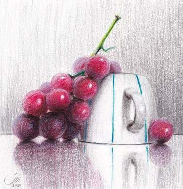 Original Still Life Drawings by Sedigheh Zoghi