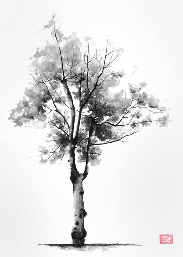 Original Tree Drawings by Sedigheh Zoghi