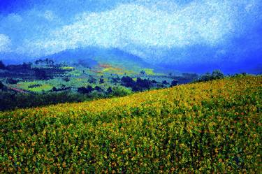 Yellow Flowers, Araku Valley, India thumb