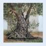 Original oil painting on stone, 'ancient olive tree trunk, the natural texture of the stone is used as part of the painting.
Stone Size: 40'' 40 cm from. Connected to the poly carbonate board.
Continue painting painted on board
Size including 52 to 52 cm
With the possibility of hanging.