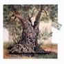 Original oil painting on stone, 'ancient olive tree trunk, the natural texture of the stone is used as part of the painting.
Stone Size: 40'' 40 cm from. Connected to the poly carbonate board.
Continue painting painted on board
Size including 52 to 52 cm
With the possibility of hanging.