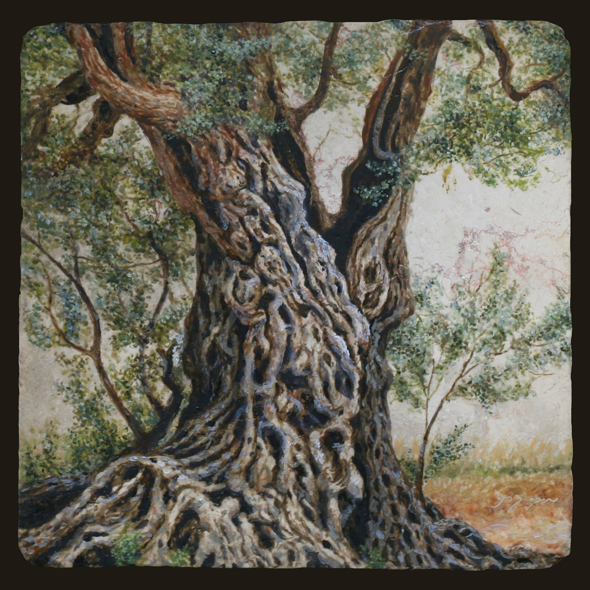 The Old olive tree trunk Painting