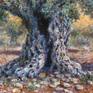 On a tour in the Galilee, I am visiting the ancient olive grove, some coming for 2000 years old and more
I made many sketches and then painted this painting.
The Creation'' The olive tree & Summery scents'' is an original oil painting with Small stones from the Galilee are embedded in the painting. The olive tree is drawn ancient olive grove near Nazareth Western Galilee ISRAEL.
Size: 45 x 60 cm