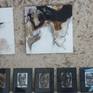 CAPENDU - EXPOSITION