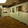 EXPOSITION ST CYPRIEN - TOULOUSE -
