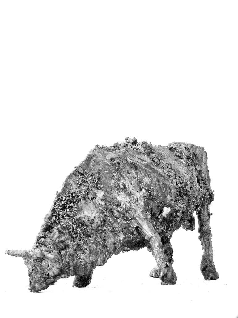 Original Animal Sculpture by tyler fenn