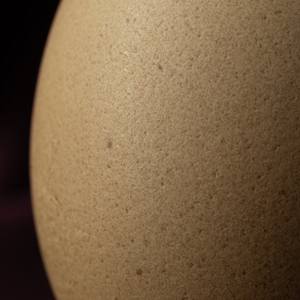 Beauty of Eggs