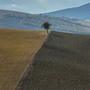 Tuscan Fall Landscape