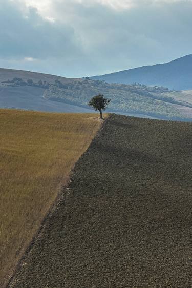 Tuscan Fall Landscape thumb