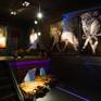 On show at the Statuesque Exhibition in Madrid