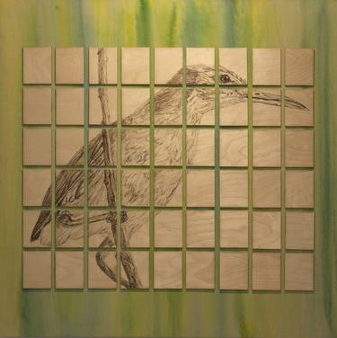 Extinct: Aguijan Reed-warbler, 1995 thumb