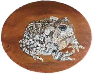 Extinct in Wild: Wyoming Toad thumb