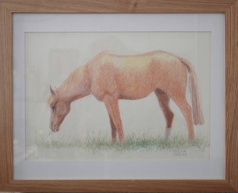 Original Figurative Horse Drawing by Marina Radius