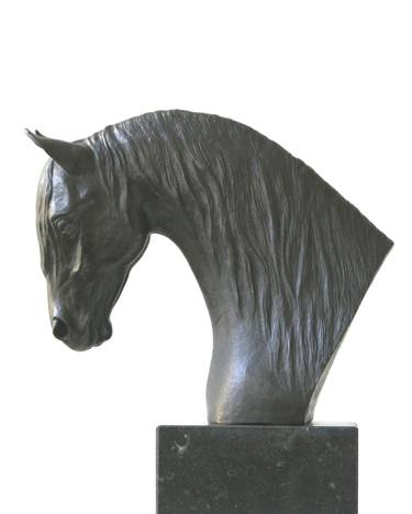 Frisian horse thumb
