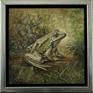 Frog framed