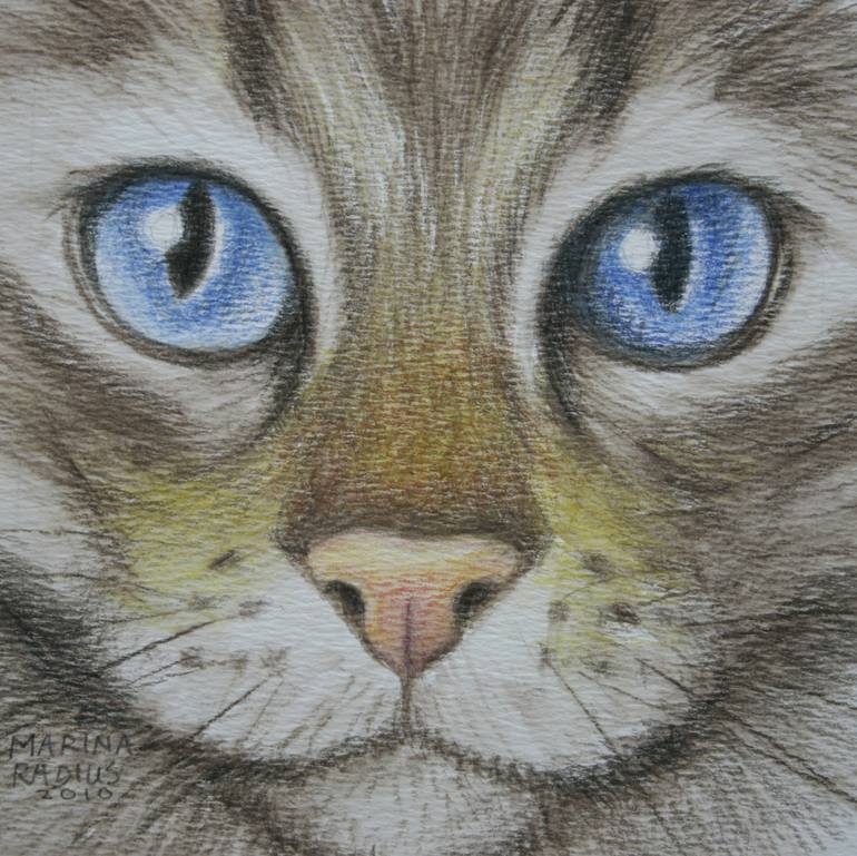 Cat's eyes blue Drawing by Marina Radius | Saatchi Art