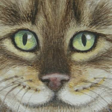 Original Expressionism Cats Drawings by Marina Radius