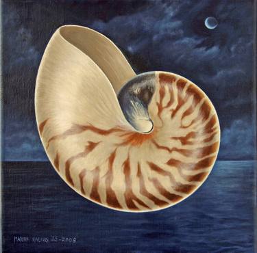 Nautilus by night thumb