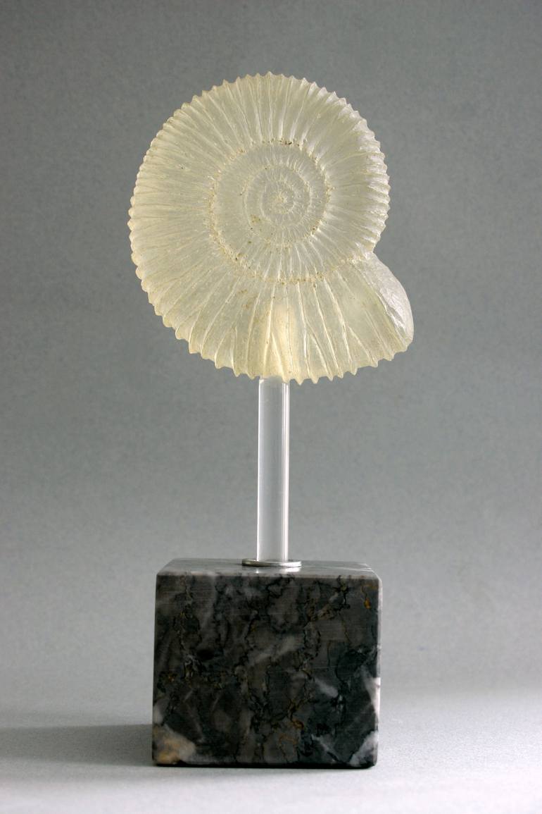 Ammonite - Print