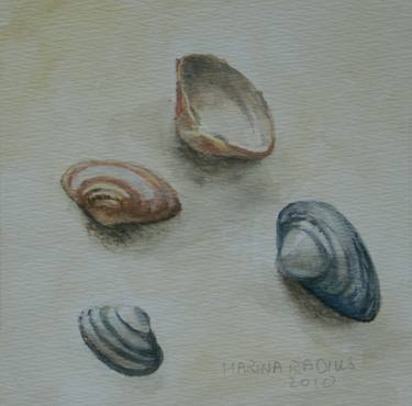 Seashells thumb