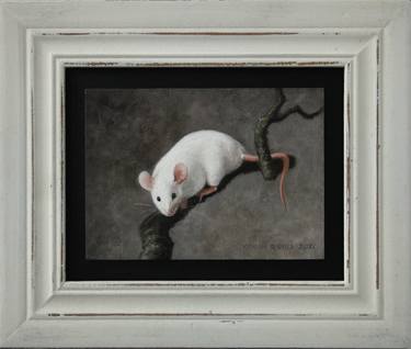 Original Animal Paintings by Marina Radius