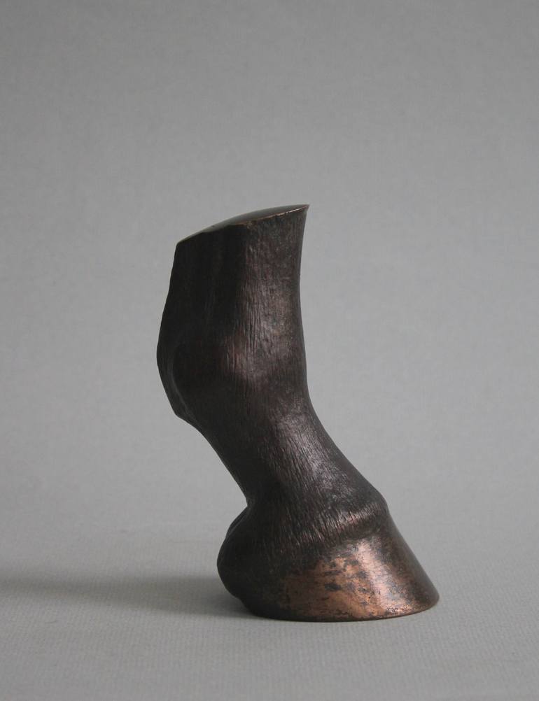 Horse foot - Print