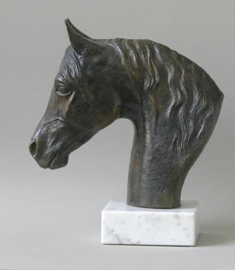 Arabian horse head 2 - Print