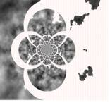 ROSE WINDOW by Clara Fornaro