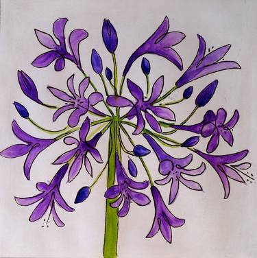 Agapanthus thumb