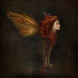 Heart of a Lion - Limited Edition of 5 by Ellen M McDermott