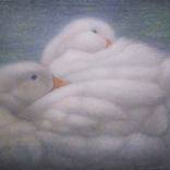 Ducks in the pond by Noriko Senshu