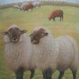 Baa Baa Sheep Gossiping by Noriko Senshu