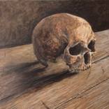 Skull study by Emily wolff