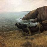 Baggy Point by Emily wolff