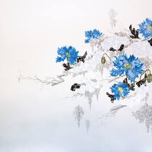 Collection Flora