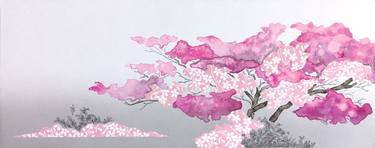 Cherry Blossoms / Spring thumb